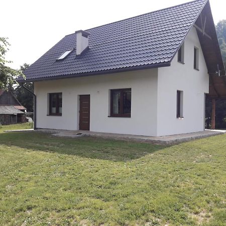 Apartament Pod Lipka Lutowiska Exterior photo